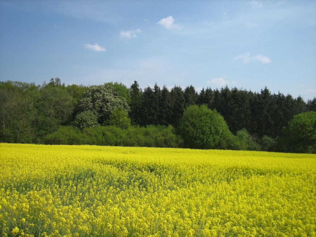 Rhodaer Grund Erfurt Exteriér fotografie